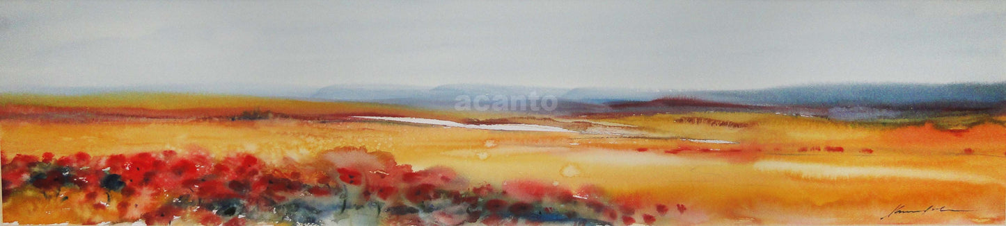 ACUARELA XAVIER GALIZA (24X98.5CM)