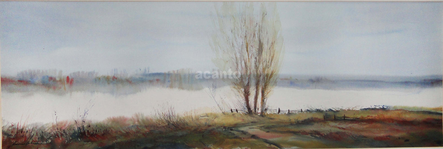 ACUARELA XAVIER GALIZA (35.5X100CM)