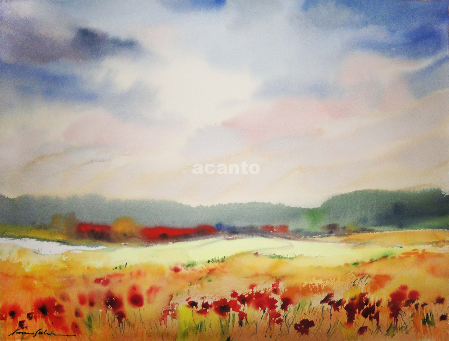ACUARELA XAVIER GALIZA (57X77CM)