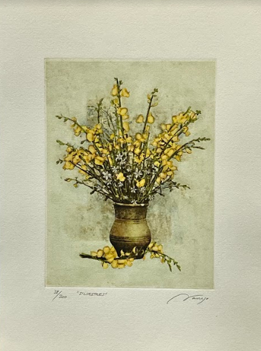 'SILVESTRES' NARANJO