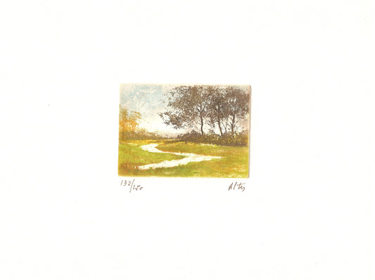 PAISAJE ALTES