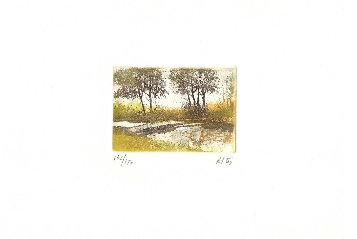PAISAJE ALTES