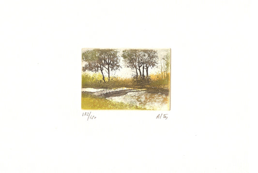 PAISAJE ALTES
