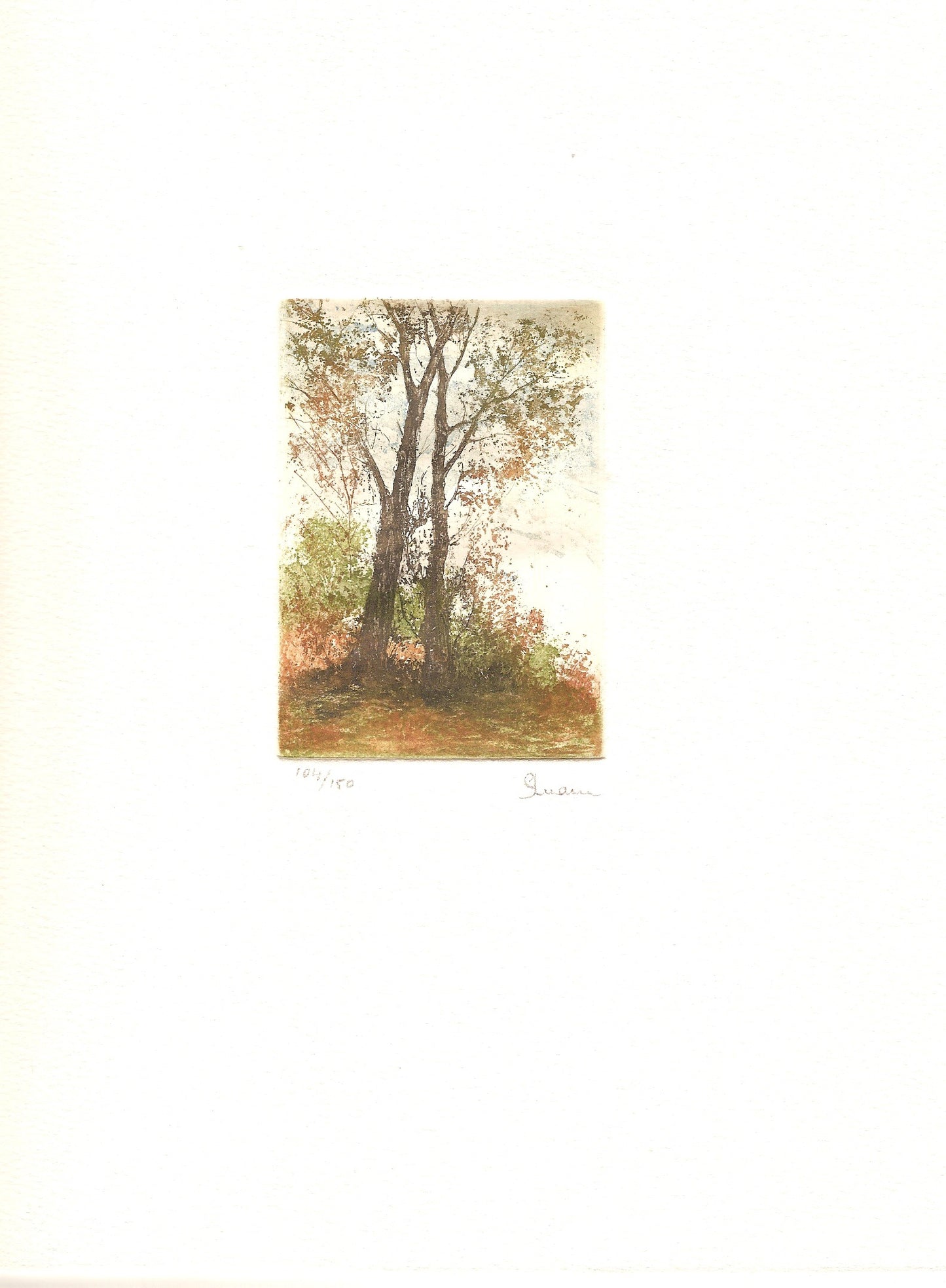 BOSQUE