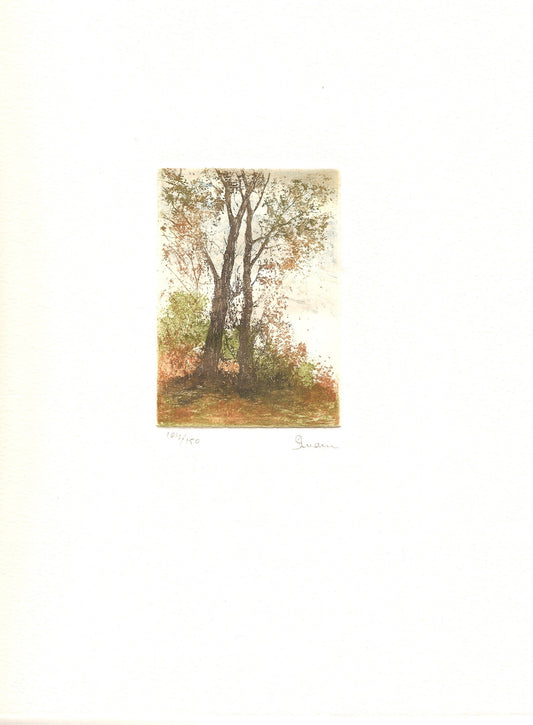 BOSQUE