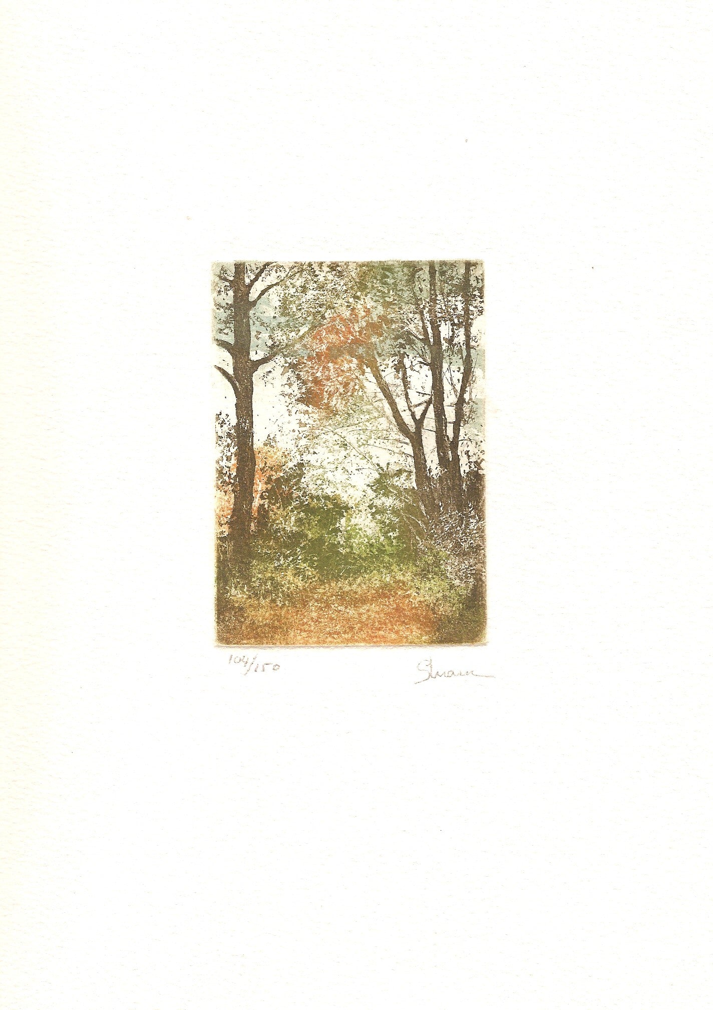 BOSQUE