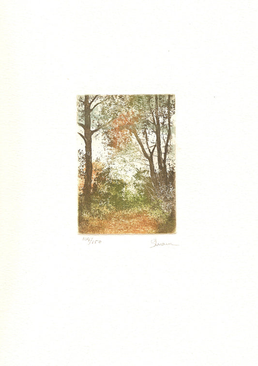 BOSQUE