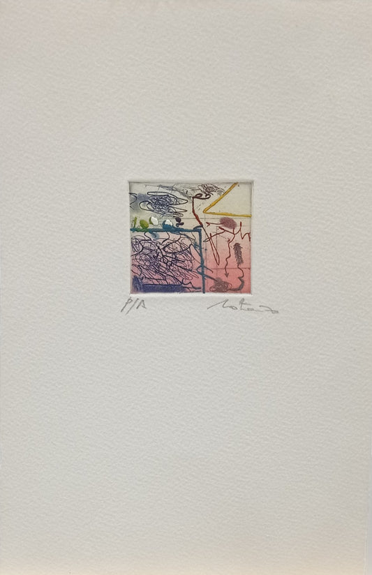 SERIE LINEAS ABSTRACTAS (NOTARIO)