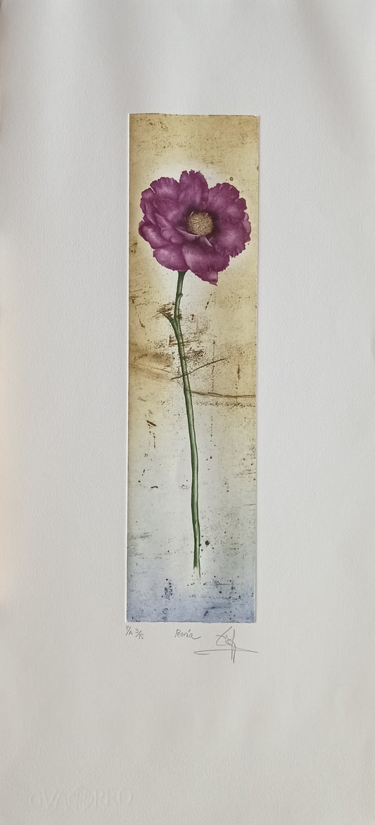 PEONIA