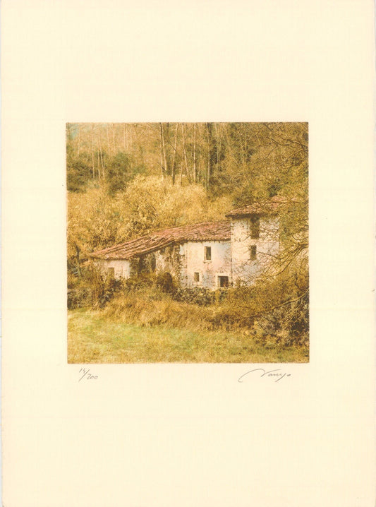 GRABADO DE NARANJO I