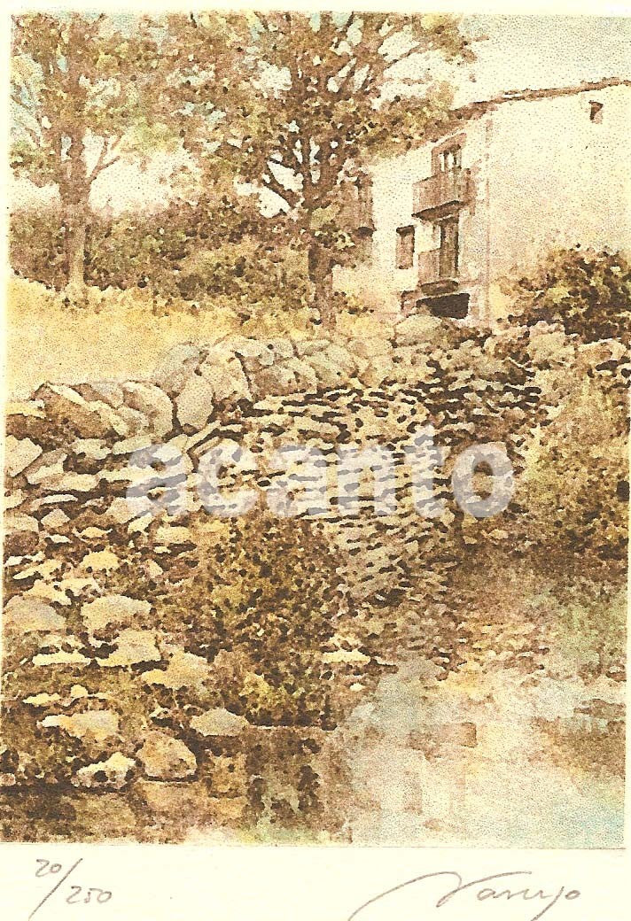 NATURALEZA II (28X19CM)