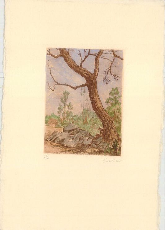 PAISAJE. CUELLAR